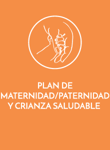 Maternidad